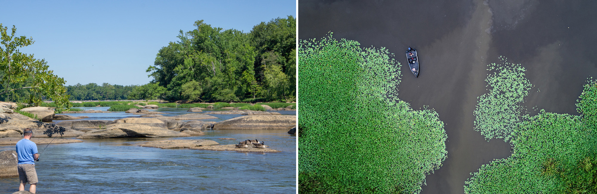 largemouth bass vs smallmouth, comparison of water types