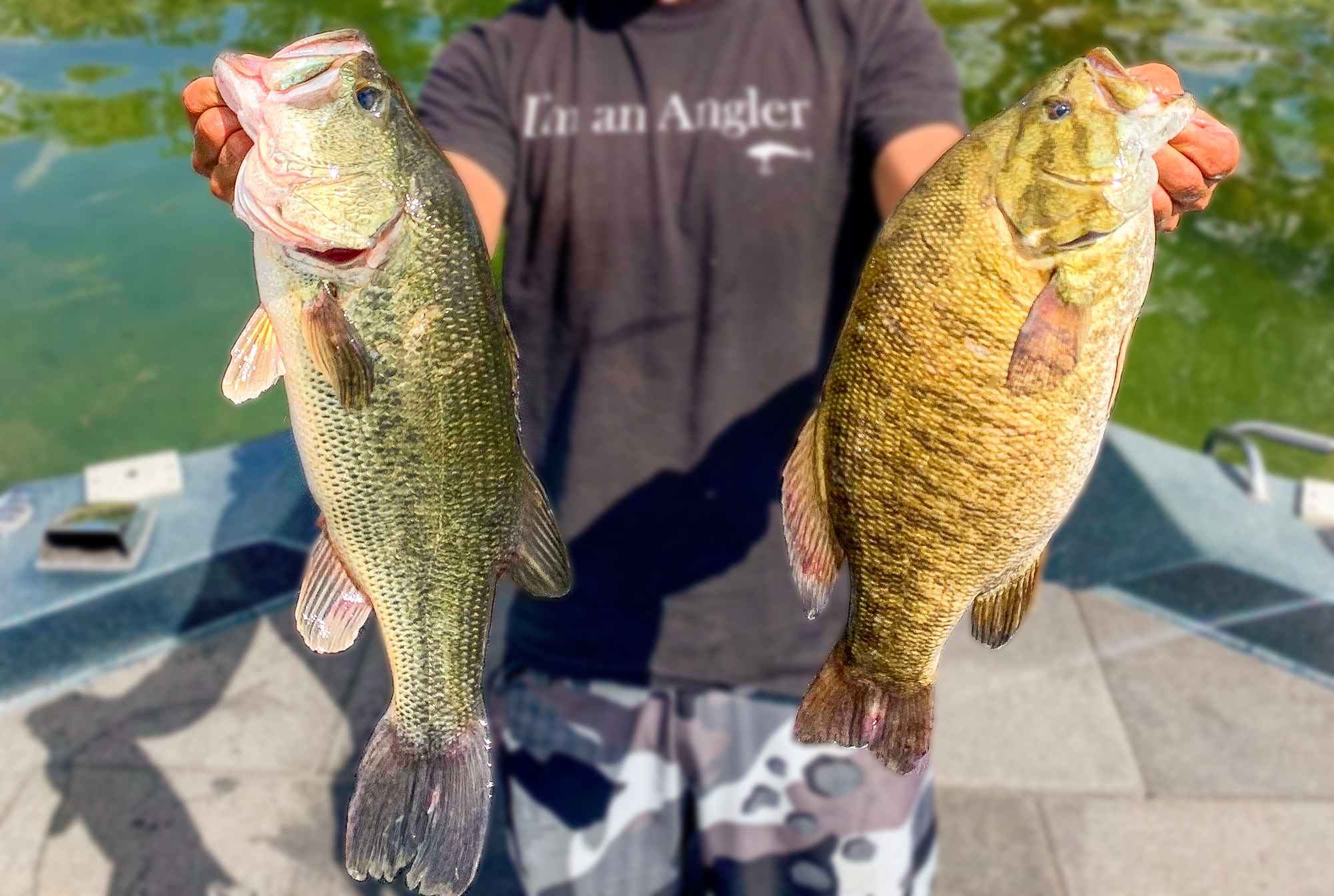 Crankbaits the difference between - Florida Bass Fishing Guides