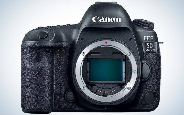  The Canon EOS 5D Mark IV is one of the best cameras for wildlife photography.