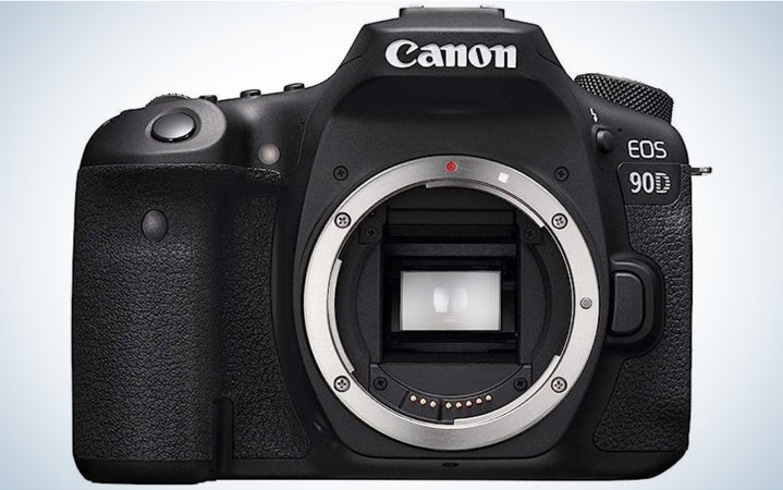  The Canon EOS 90D is one of the best cameras for wildlife phootgraphy.