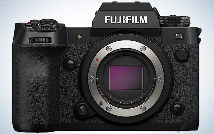  The Fujifilm X-H2S  is one of the best cameras for wildlife photography.