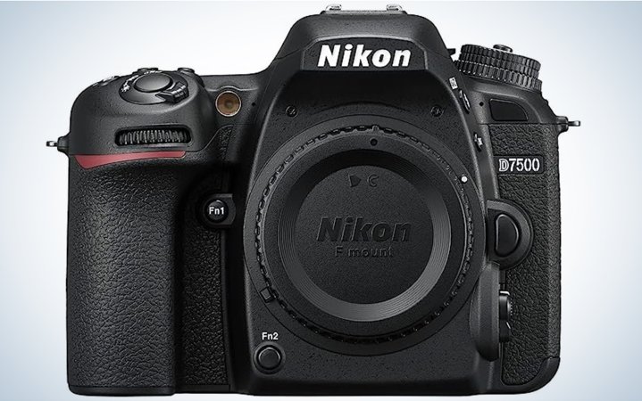  The Nikon D7500 is one of the best cameras for wildlife photography.