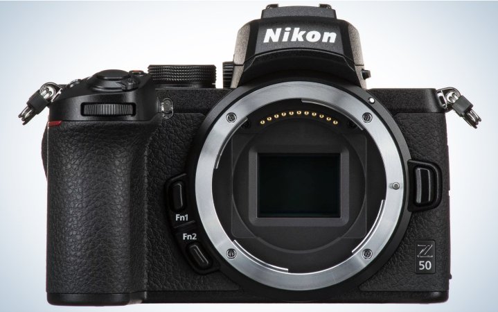  The Nikon Z50 is one of the best cameras for wildlife photography.