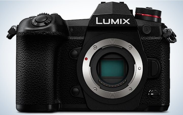  The Panasonic Lumix G9 is one of the best cameras for wildlife photography.