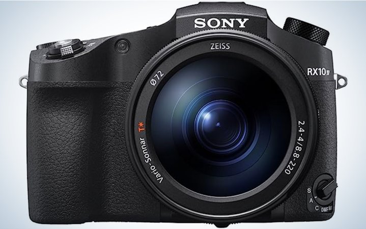  The Sony RX-10 IV is one of the best cameras for wildlife photography.