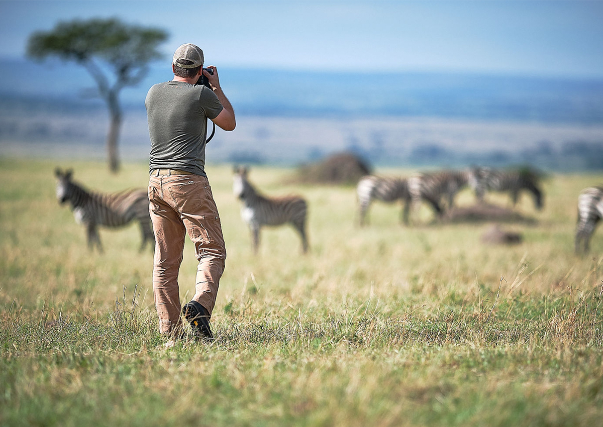 Man photographs zebras.