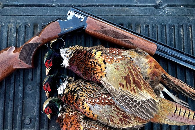 Best Duck Loads: How to Pick the Right Shell for the Right Bird