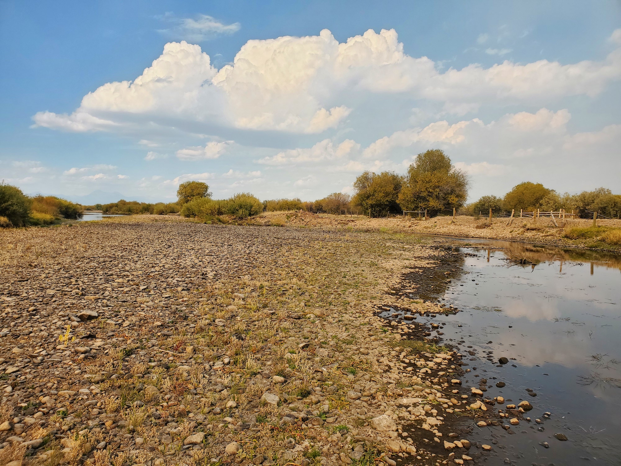 mt trout declines low water on big hole