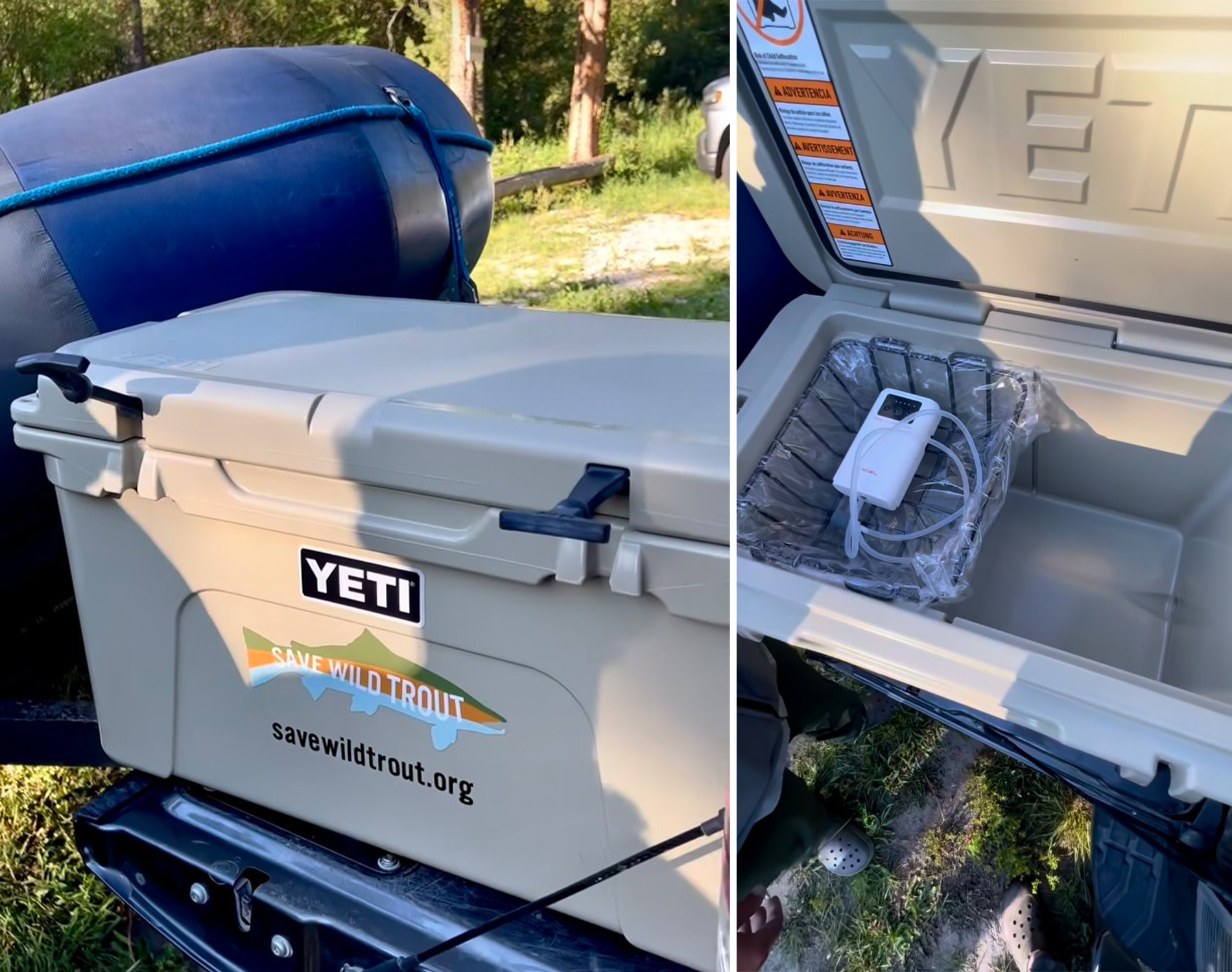 mt trout declines yeti cooler