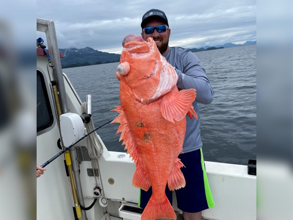 The Largest Fish Ever Caught on Rod and Reel – Rite Angler