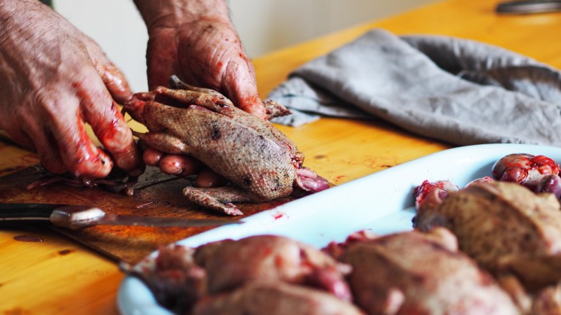 How to Prepare and Cook Waterfowl Gizzards