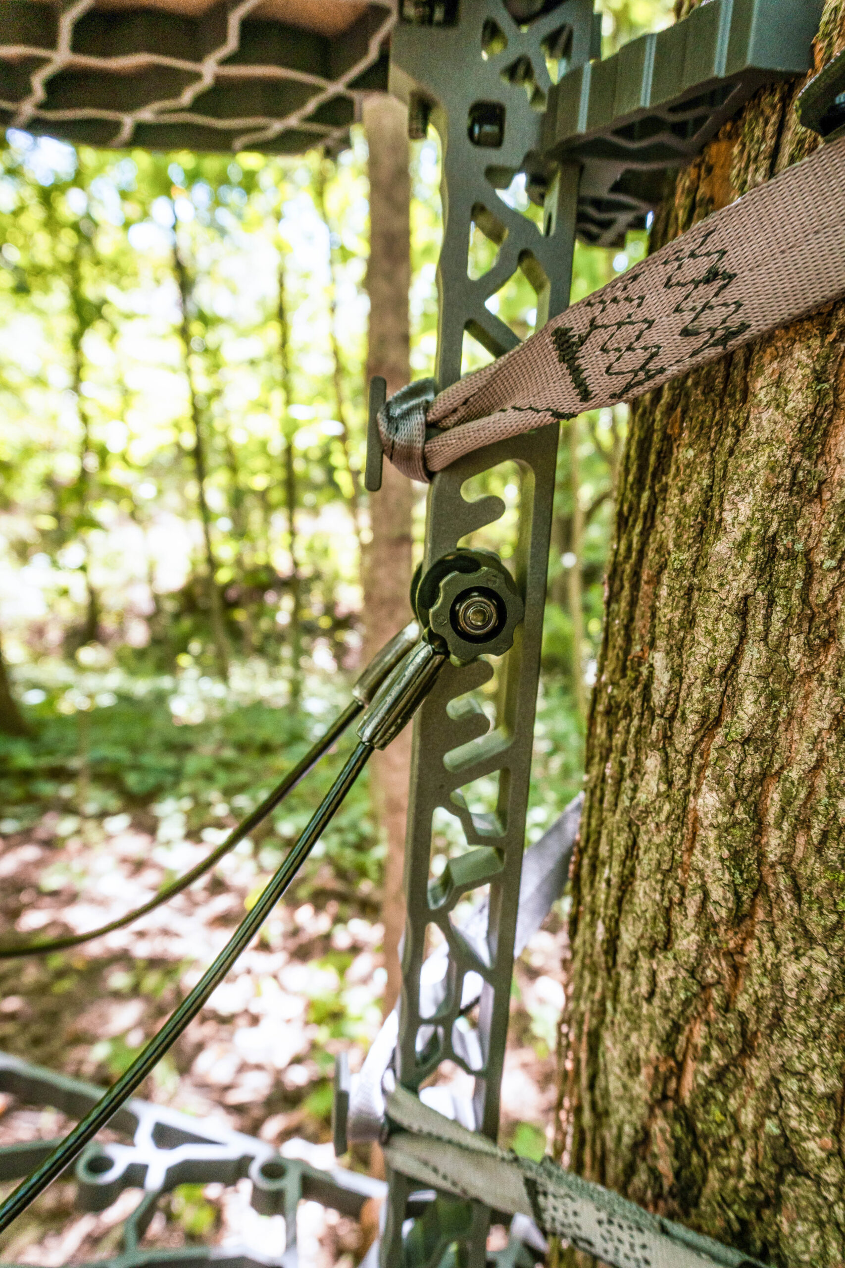 lwgc .5 2 scaled The Best Tree Stands, Tested and Reviewed