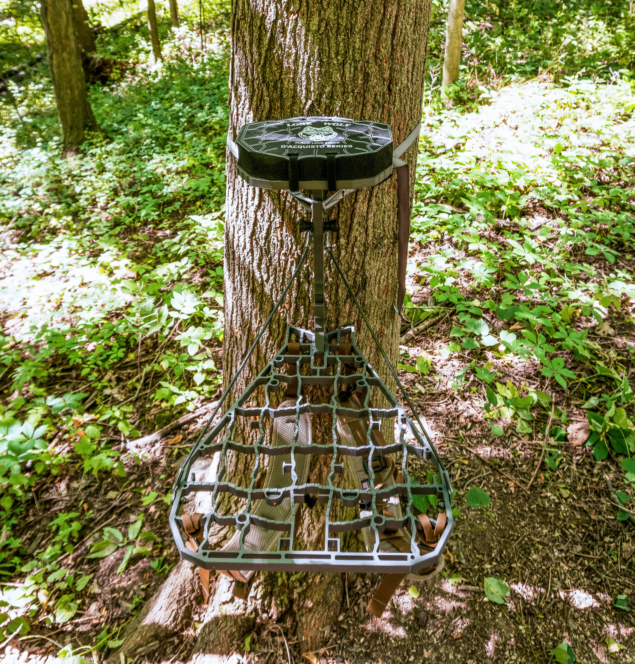 lwgc .5 scaled The Best Tree Stands, Tested and Reviewed