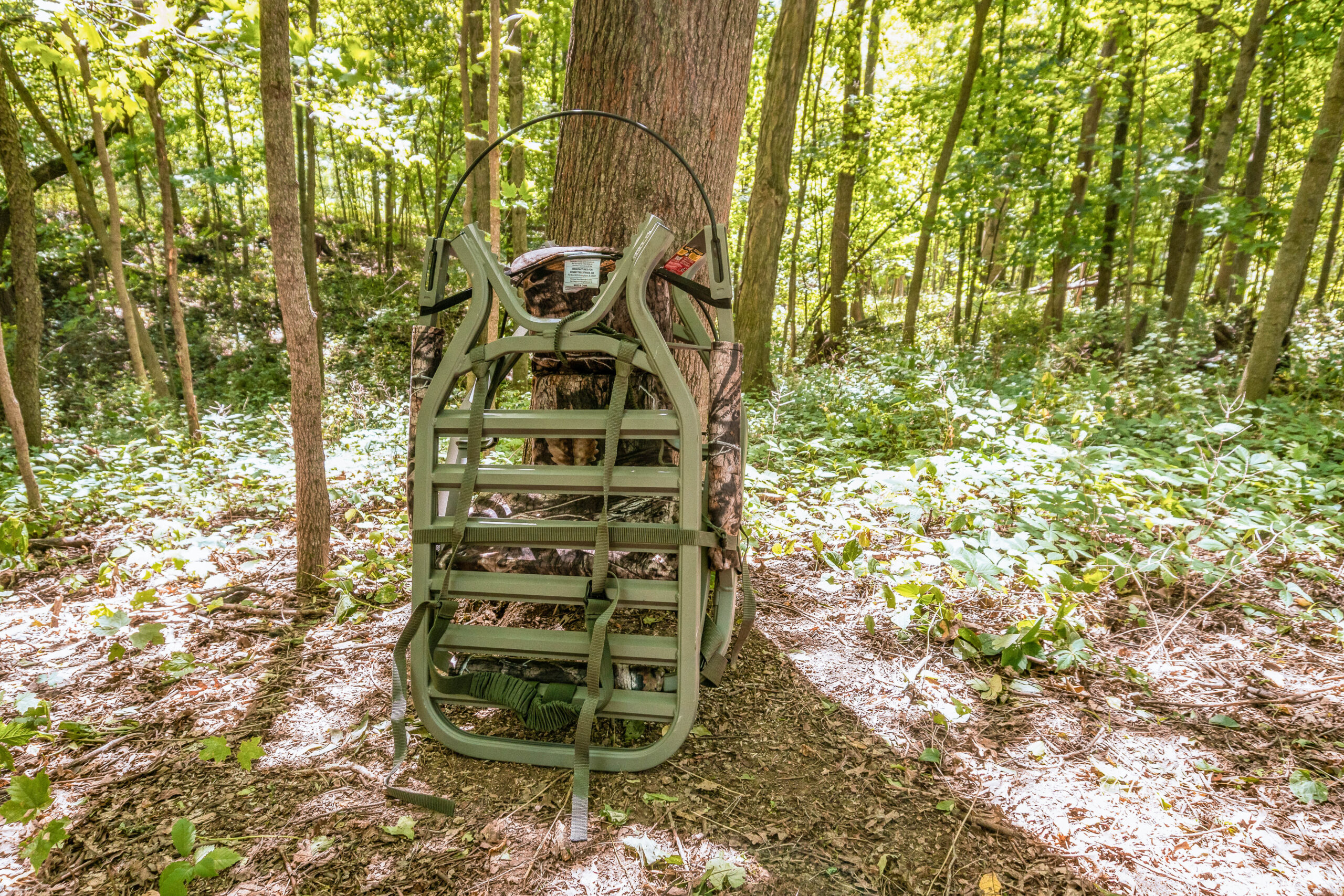 tree stand test 15 scaled The Best Tree Stands, Tested and Reviewed