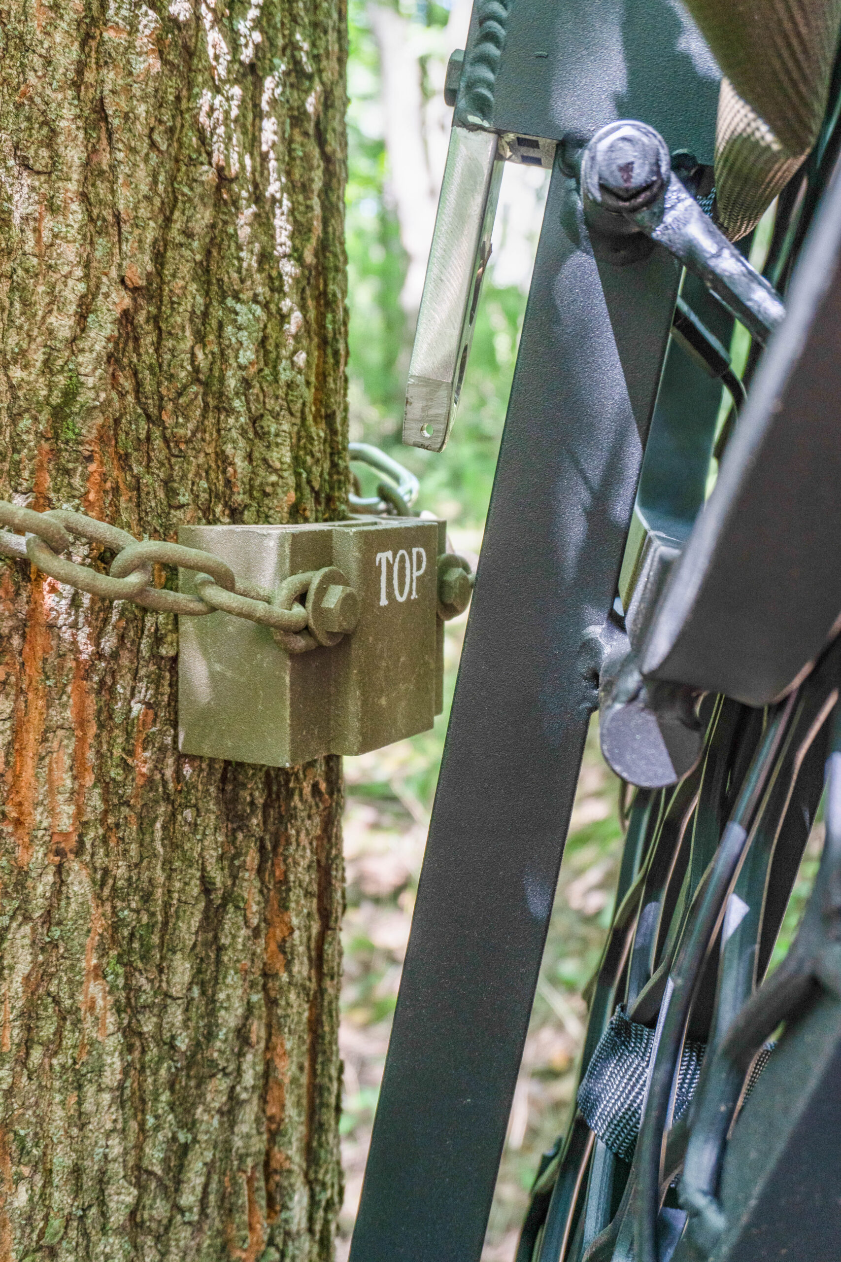 tree stand test 8 scaled The Best Tree Stands, Tested and Reviewed