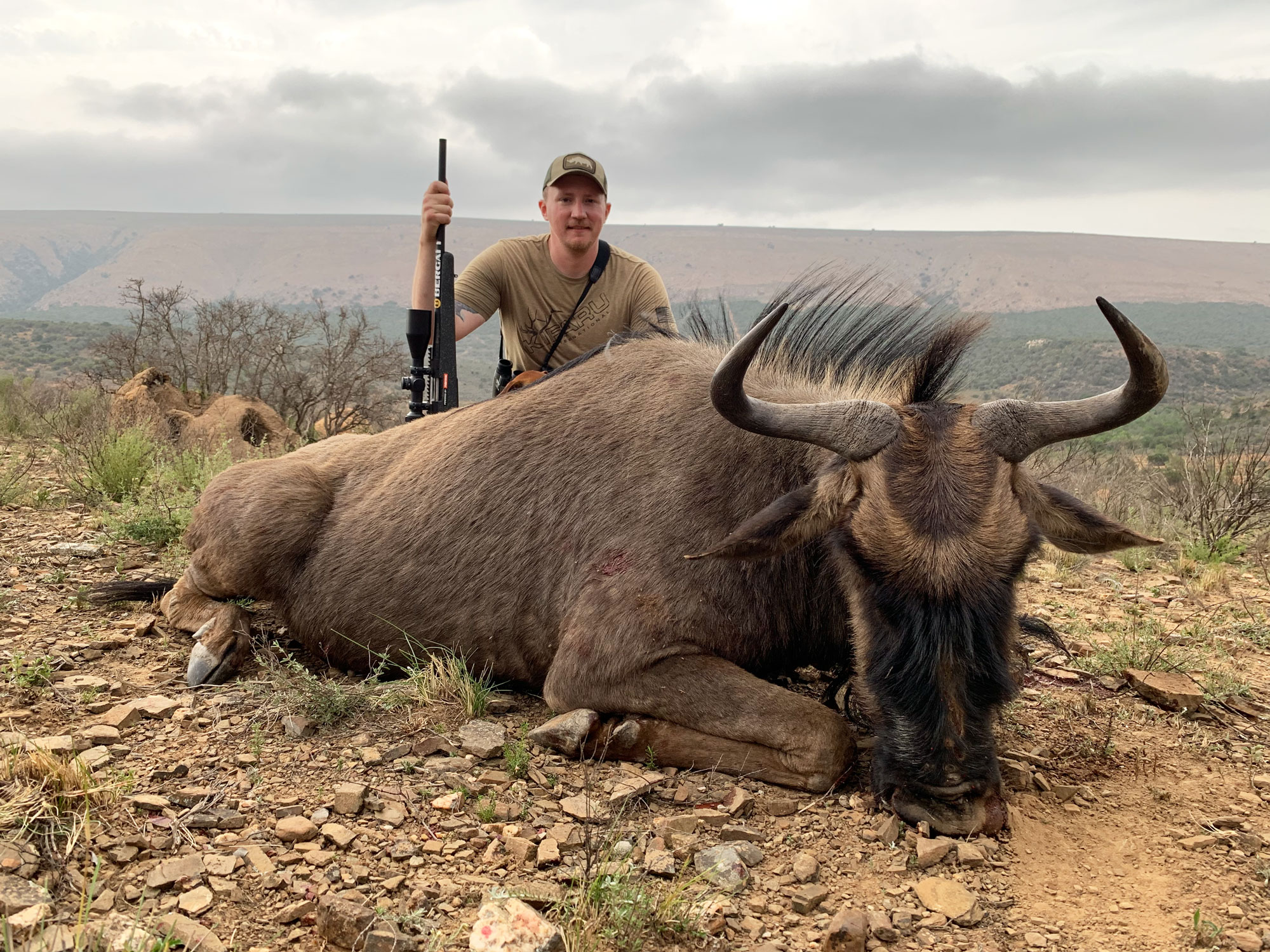 Freel with Wildebeest .308