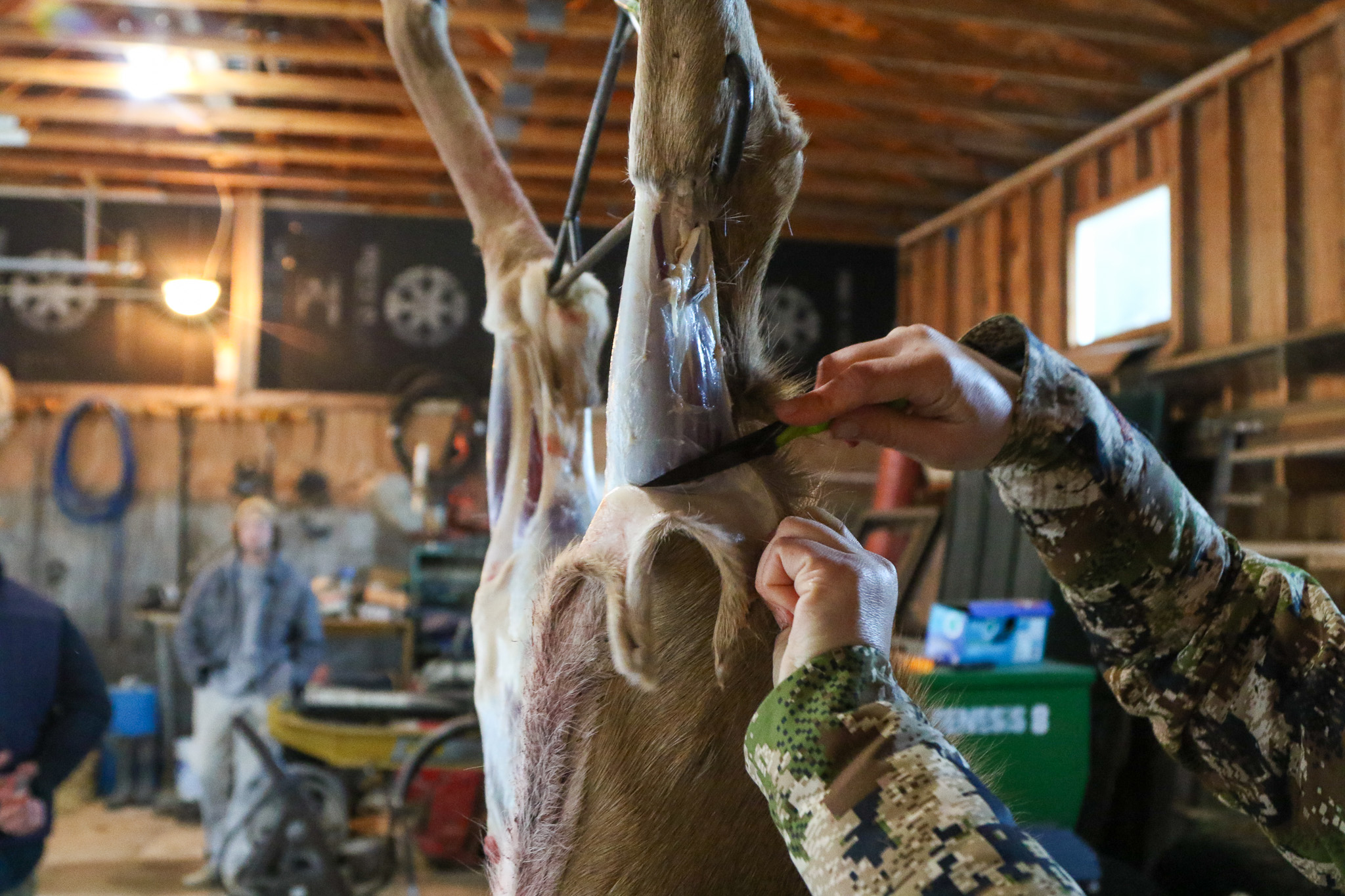 A derer hunter skins her deer.