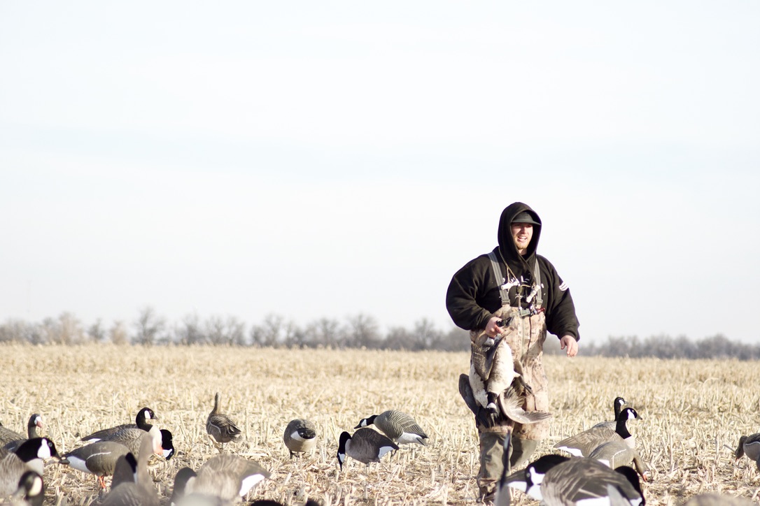 goose hunting