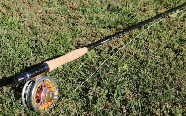 Testing the CHEAPEST Fly Rod Combo on ! 