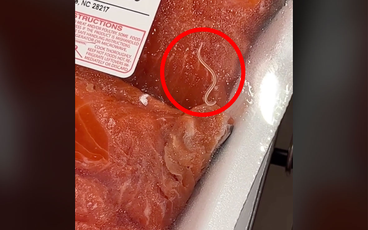 Worms in Costco Salmon Spark Unwarranted Outrage