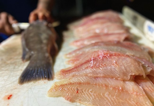 how to fillet fish