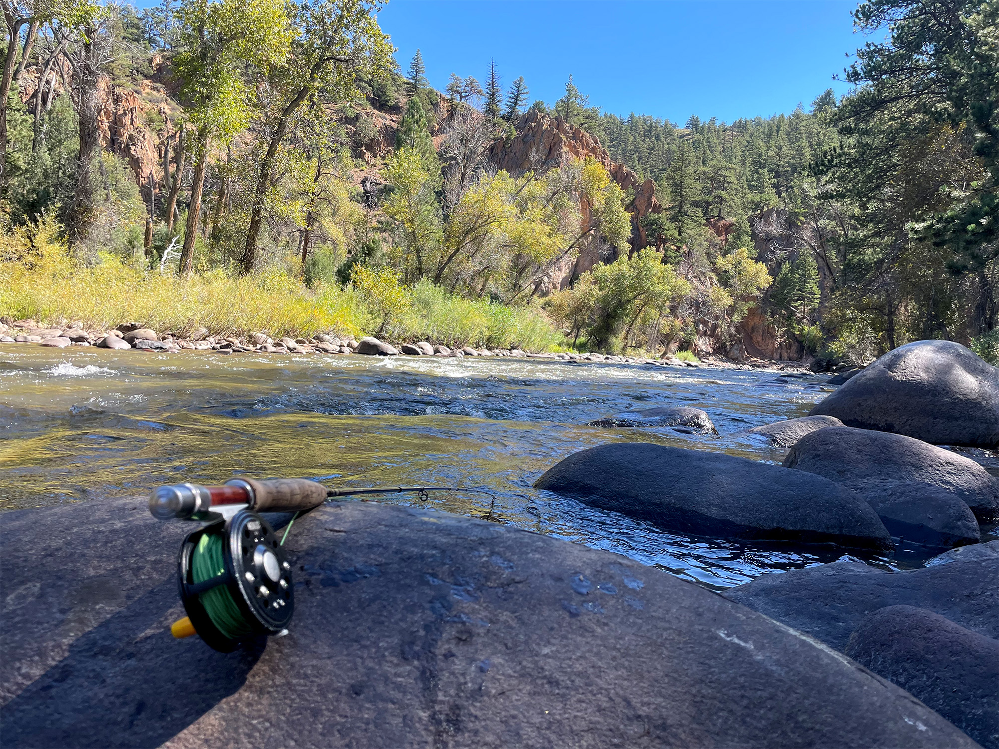 redwood fly fishing 10