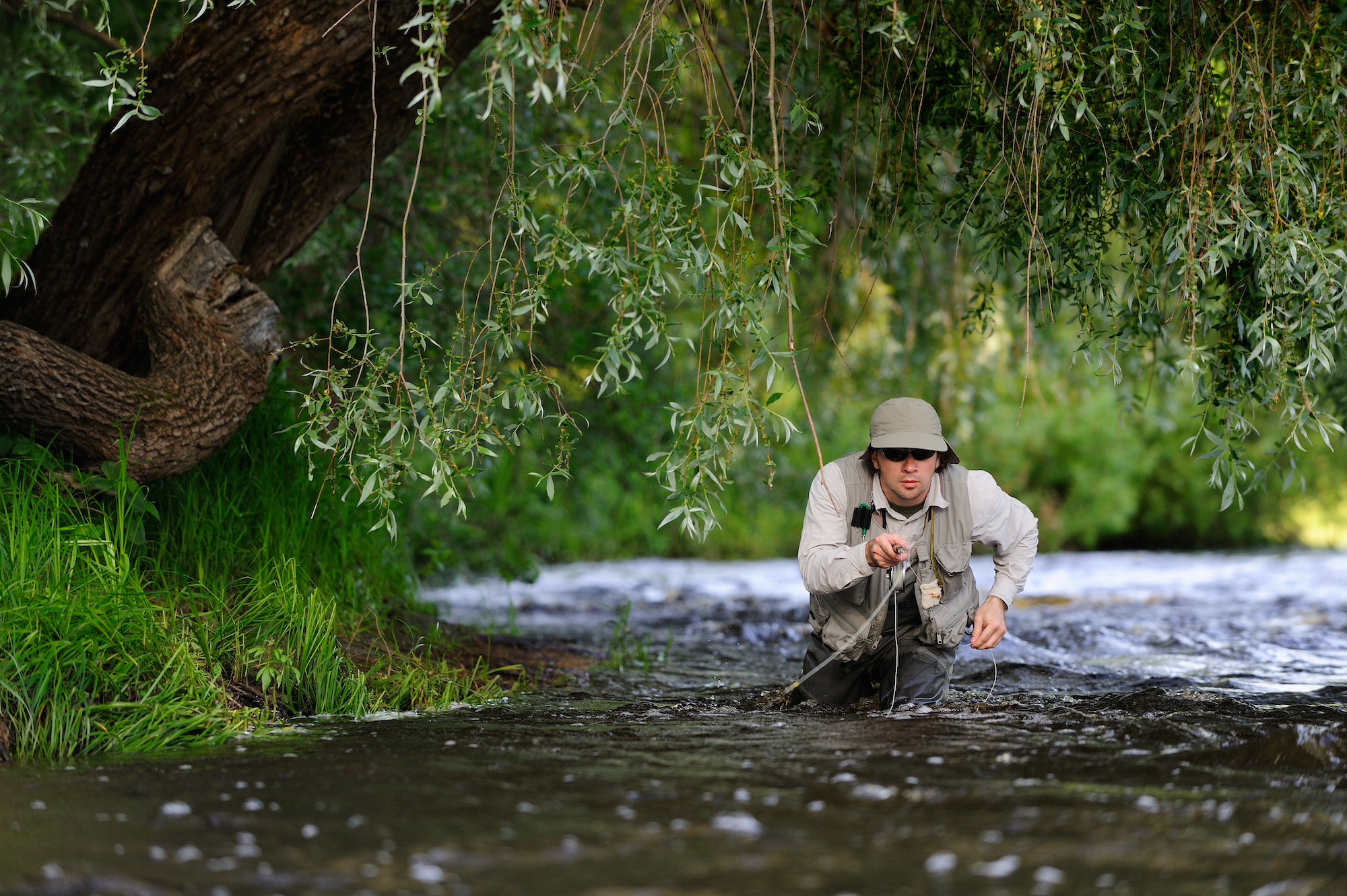 redwood fly fishing 3