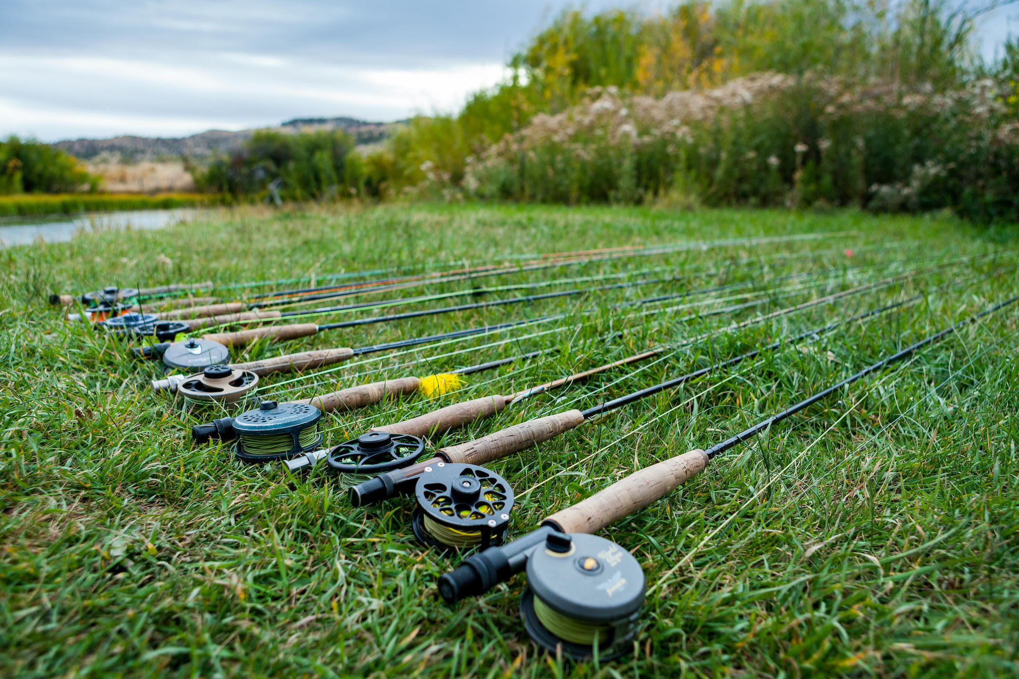 redwood fly fishing 4