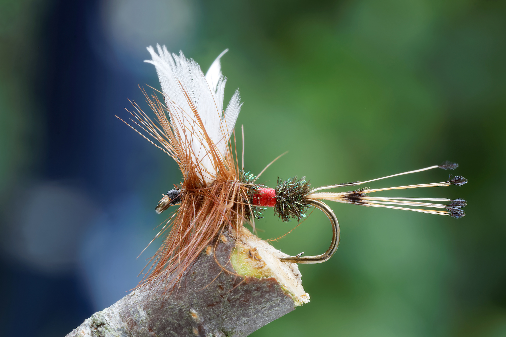  Fly Fishing Flies - 14 / Fly Fishing Flies / Fly Fishing  Equipment: Sports & Outdoors
