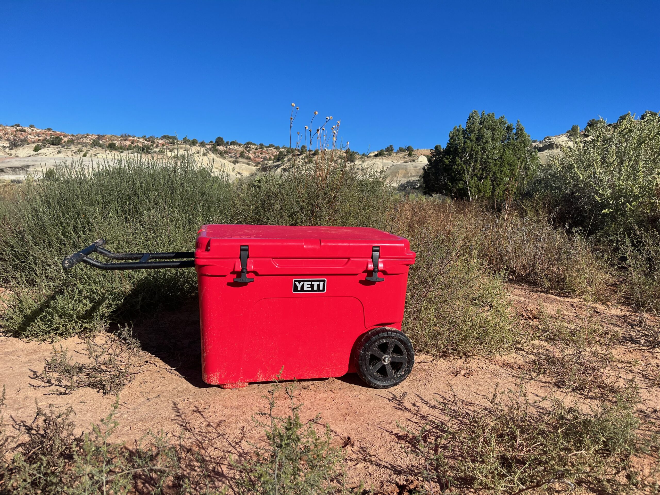 Yeti Texas Tech Red Raiders Tundra Roadie 24 Cooler – Red Raider Outfitter