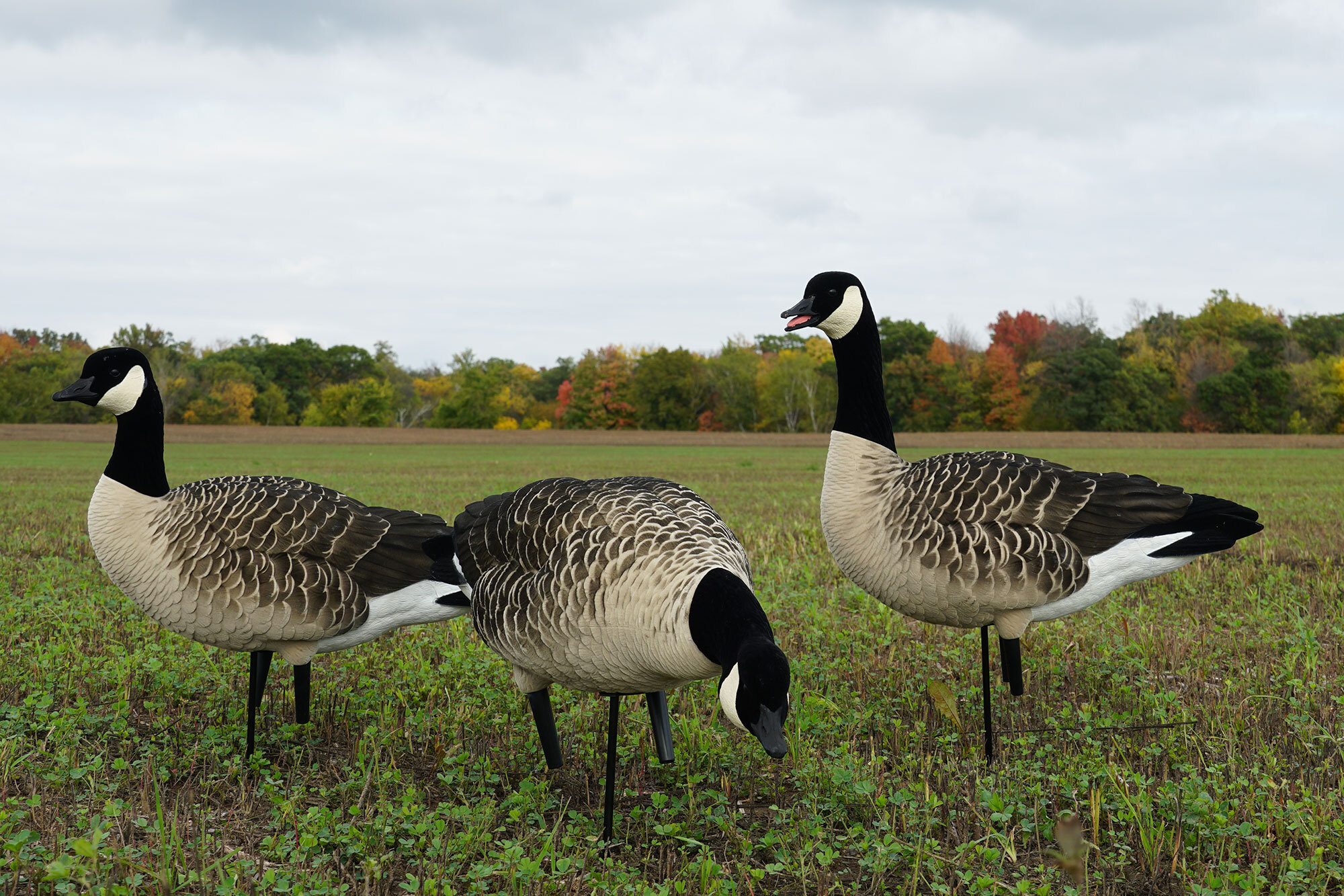 Decoy Cord Crimps - Cupped Waterfowl