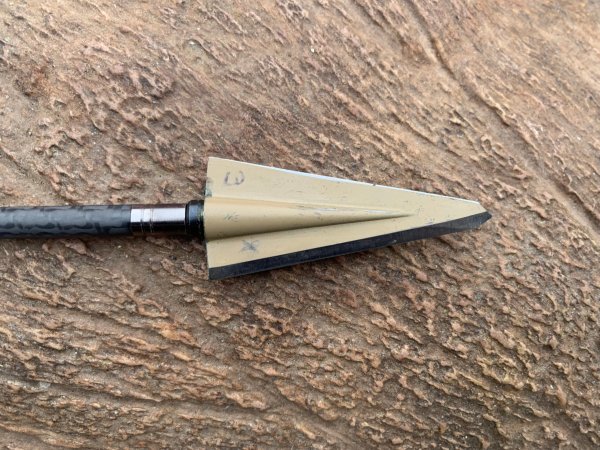  Grizzly single bevel broadheads