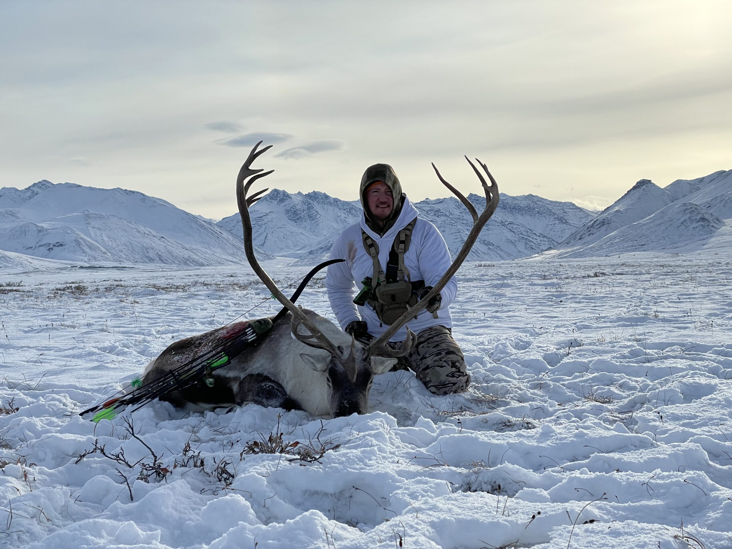 caribou taken with rms gear cutthroat wide cut