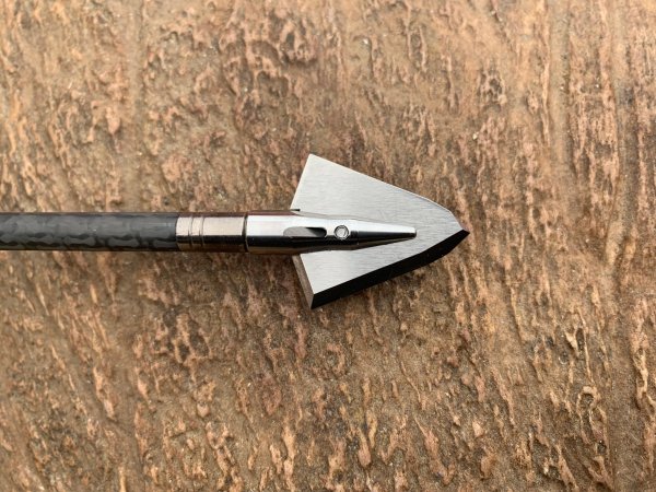  Iron Will single bevel 200 broadhead