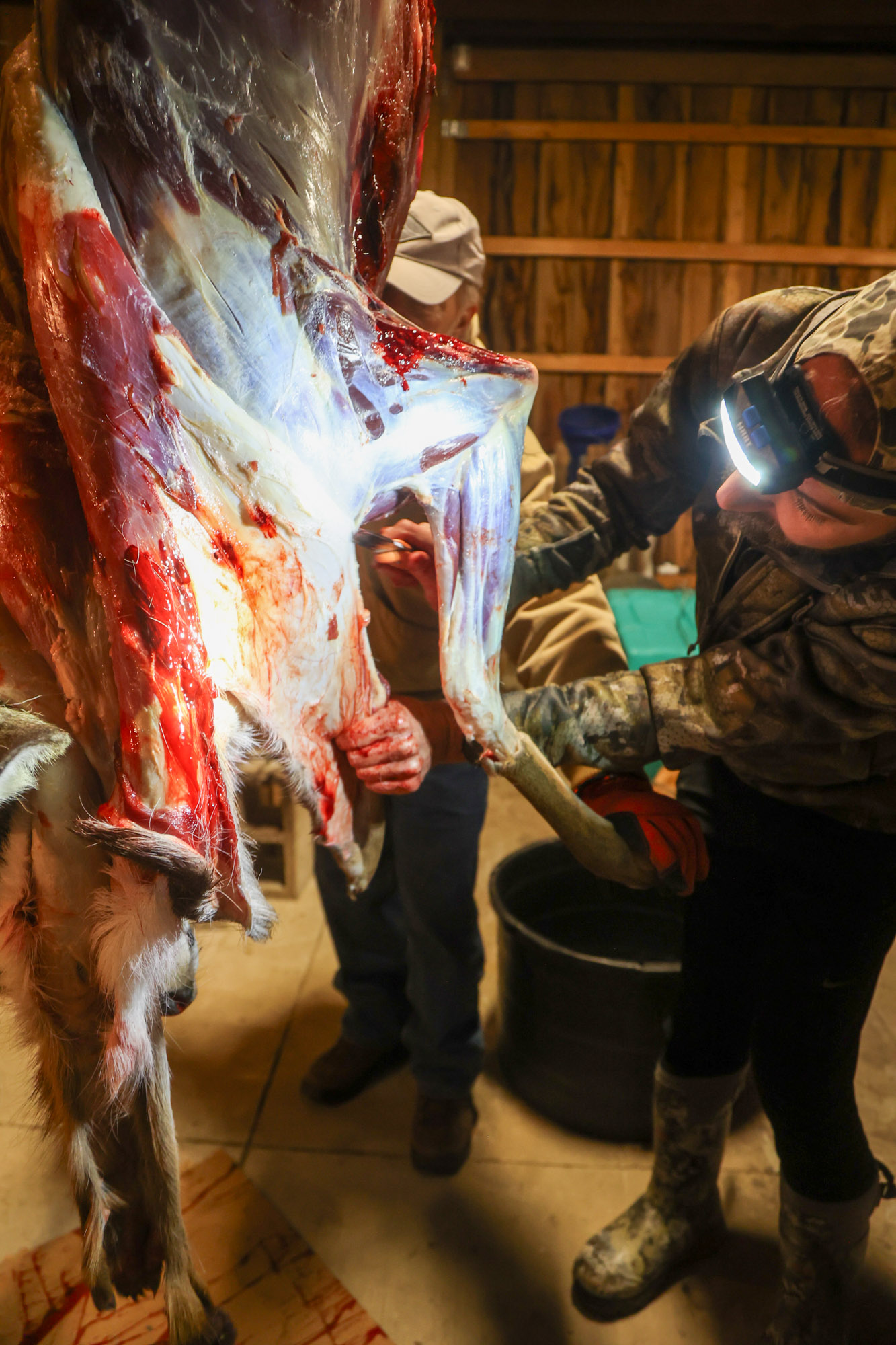 Cutting hide on the front of the brisket.