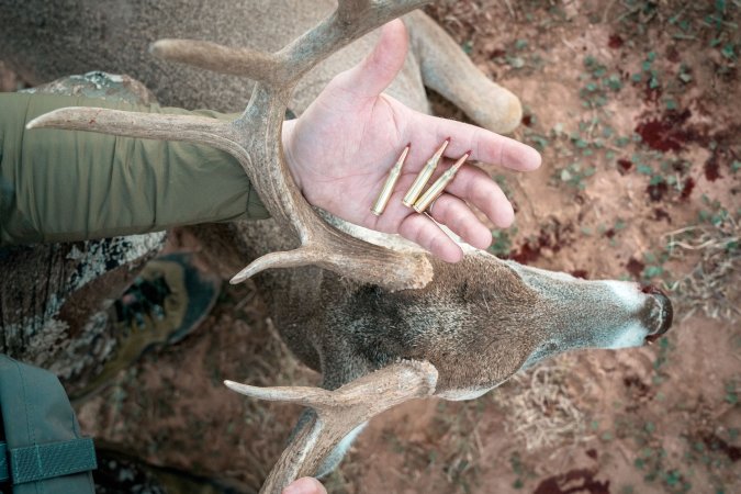 Freel with whitetail buck .308 vs 5.56mm