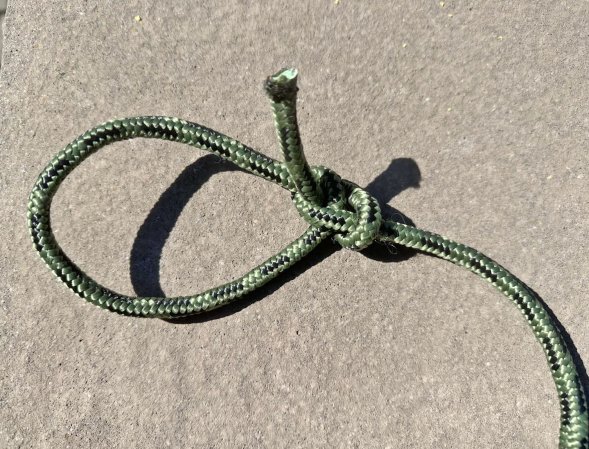 bowline knot