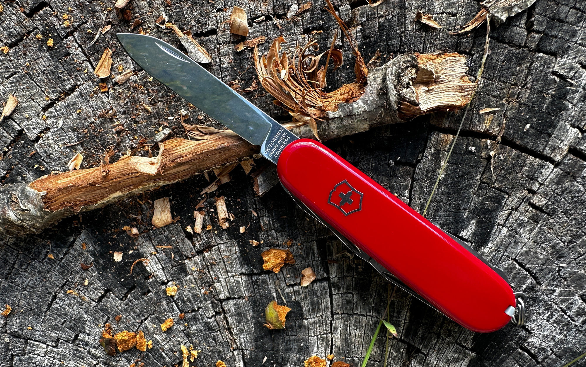 Best Swiss Army Knives - Knife Life