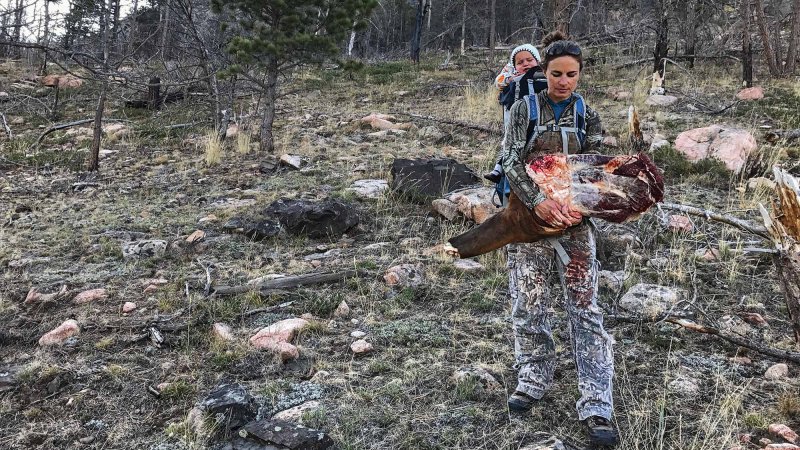 Hunter with baby in carrier on back also carries part of an elk through rocky, woody terrain.