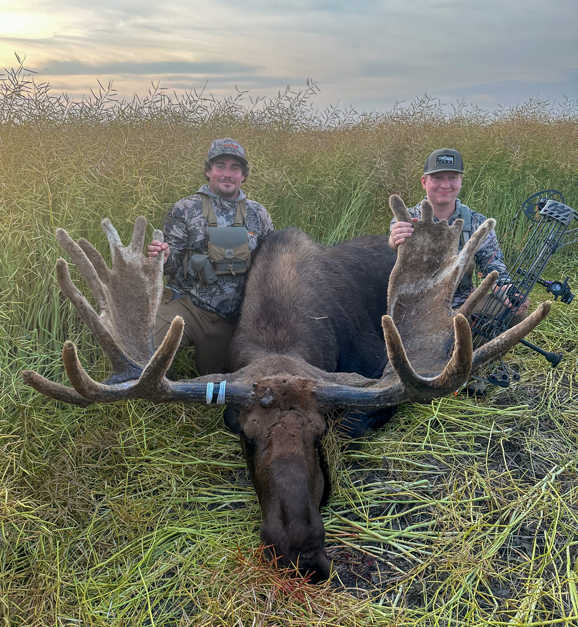 Two hunters sit on either side of a velvet bull.