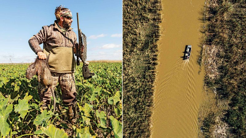 hunter holding dead nutria and gun; overhead view of boat in muddy river