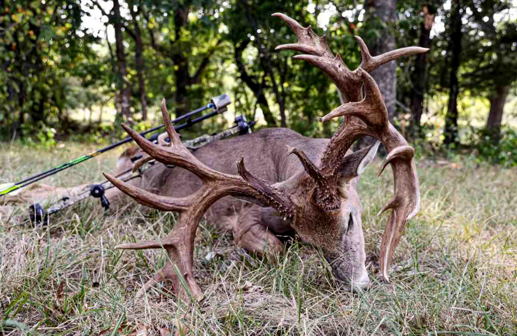 Bowhunter Tags A 230 Inch Buck On Opening Day Outdoor Life 1839