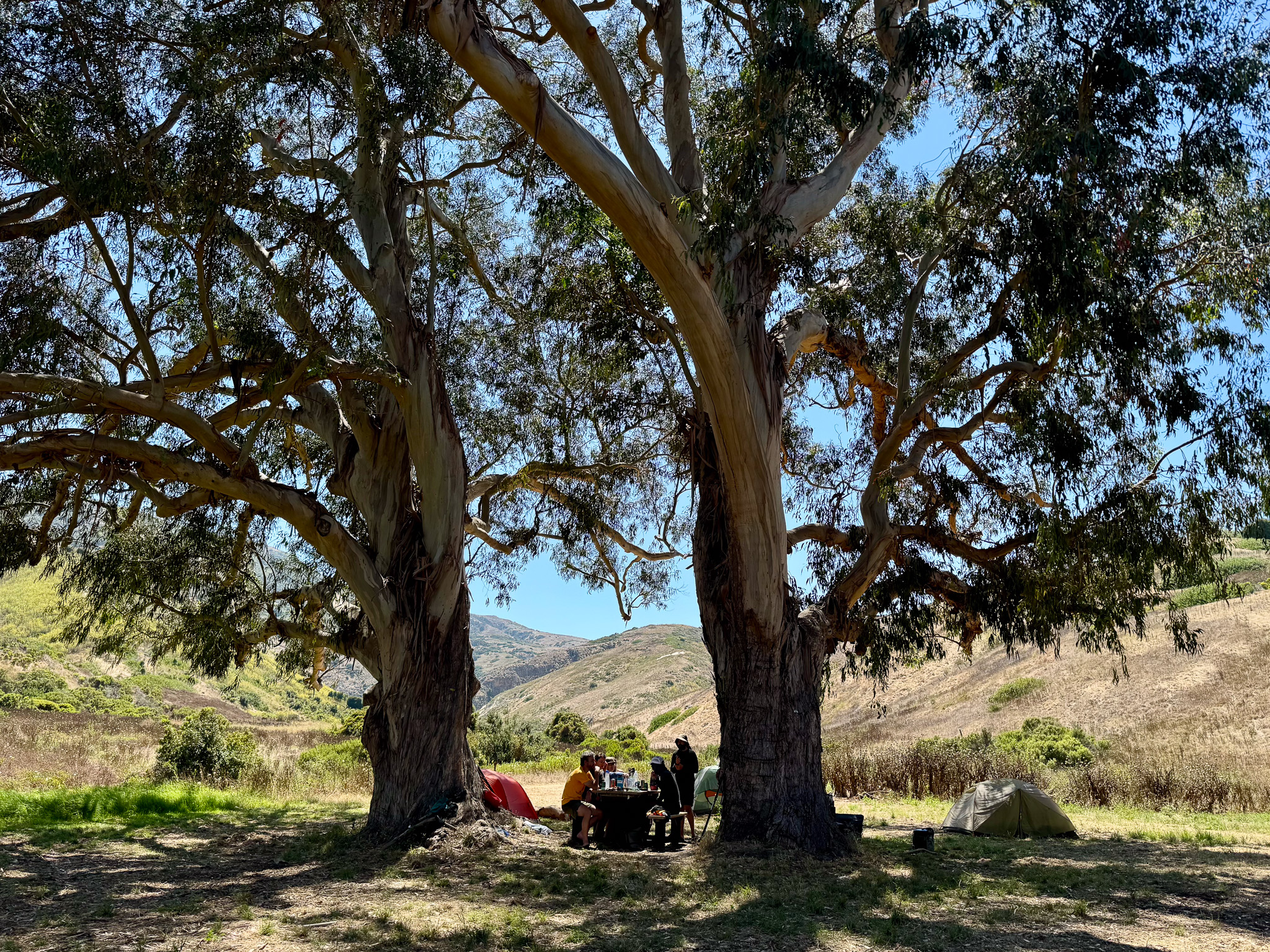 A campsite in Channel Island National Park.