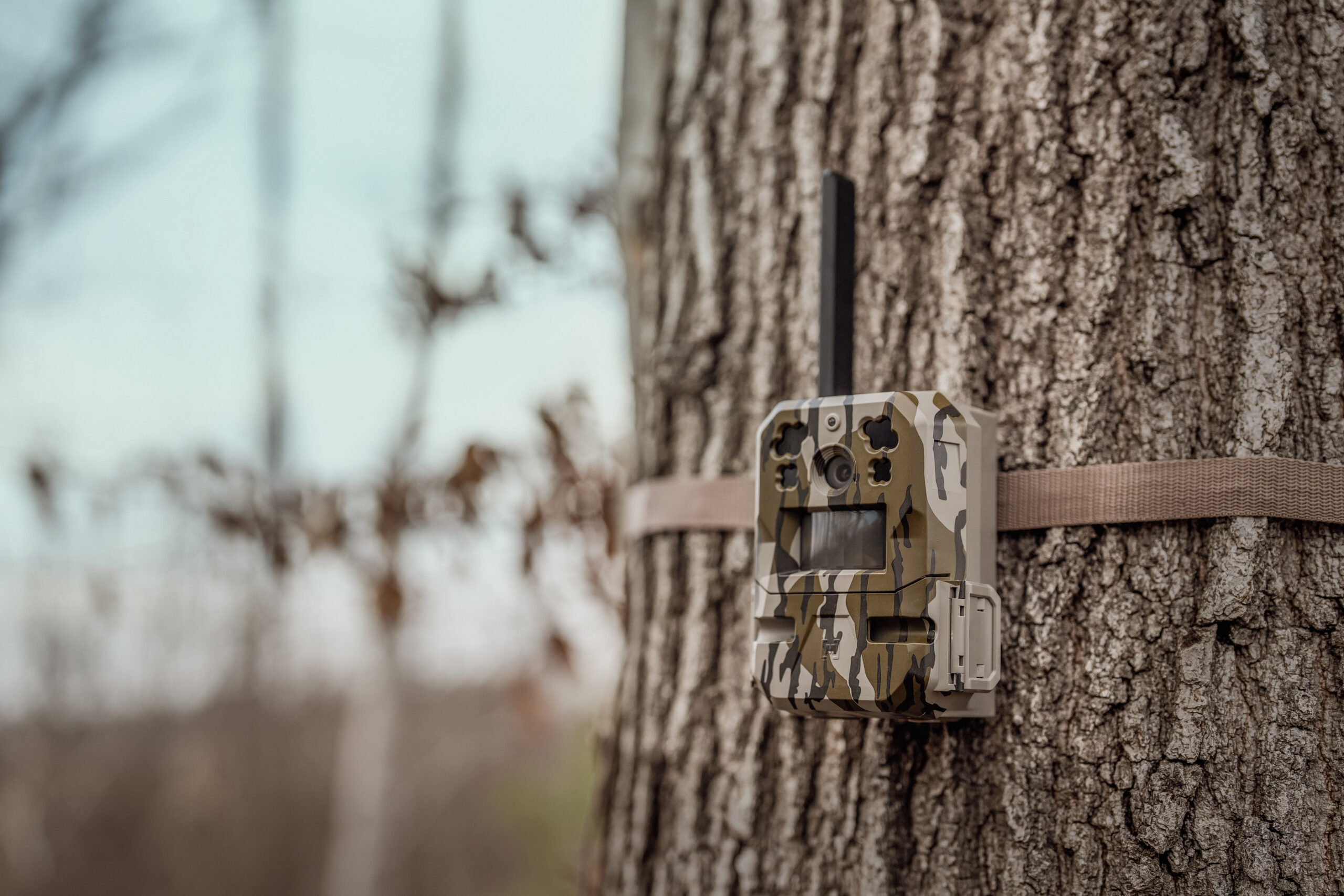 moultrie mobile edge pro