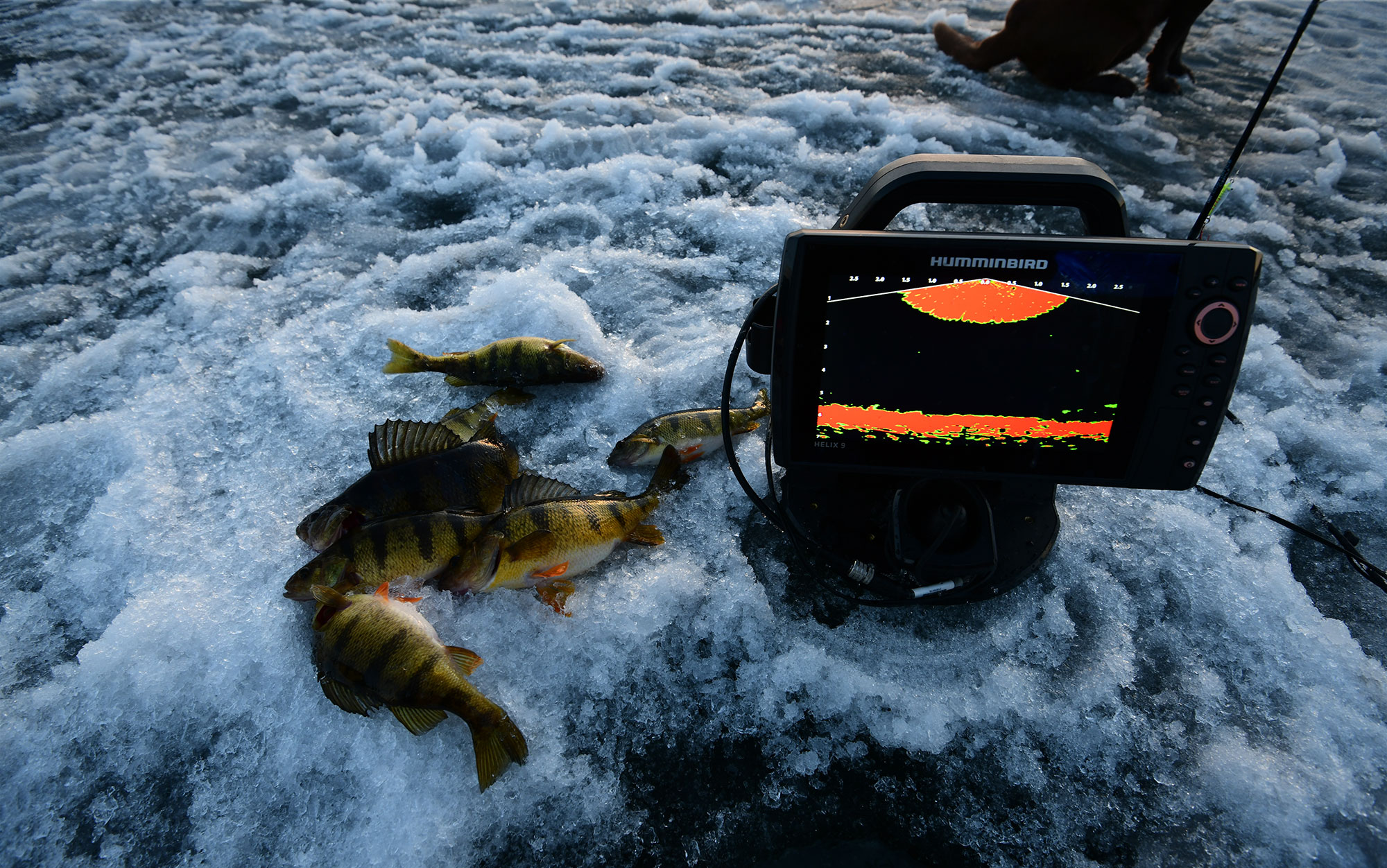 Drill fewer holes and catch more fish with Garmin's new ice fishing bundles