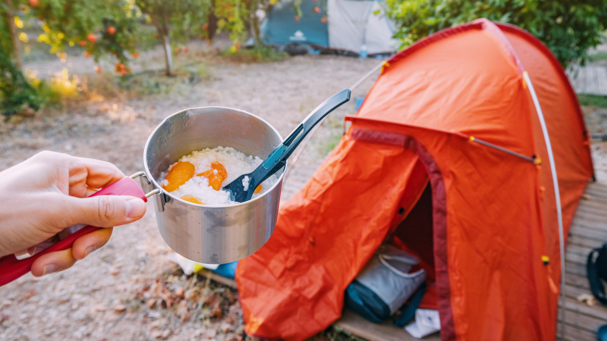 How to Dehydrate Food for Camping & Backpacking