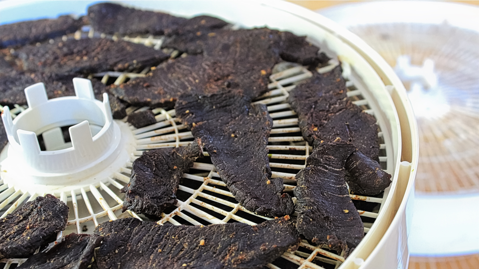 jerky in a dehydrator