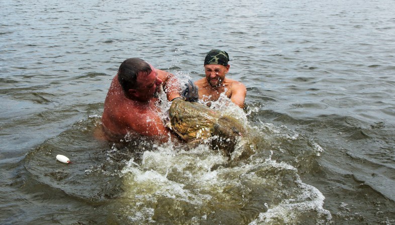 The Complete Guide to Noodling Catfish | Outdoor Life