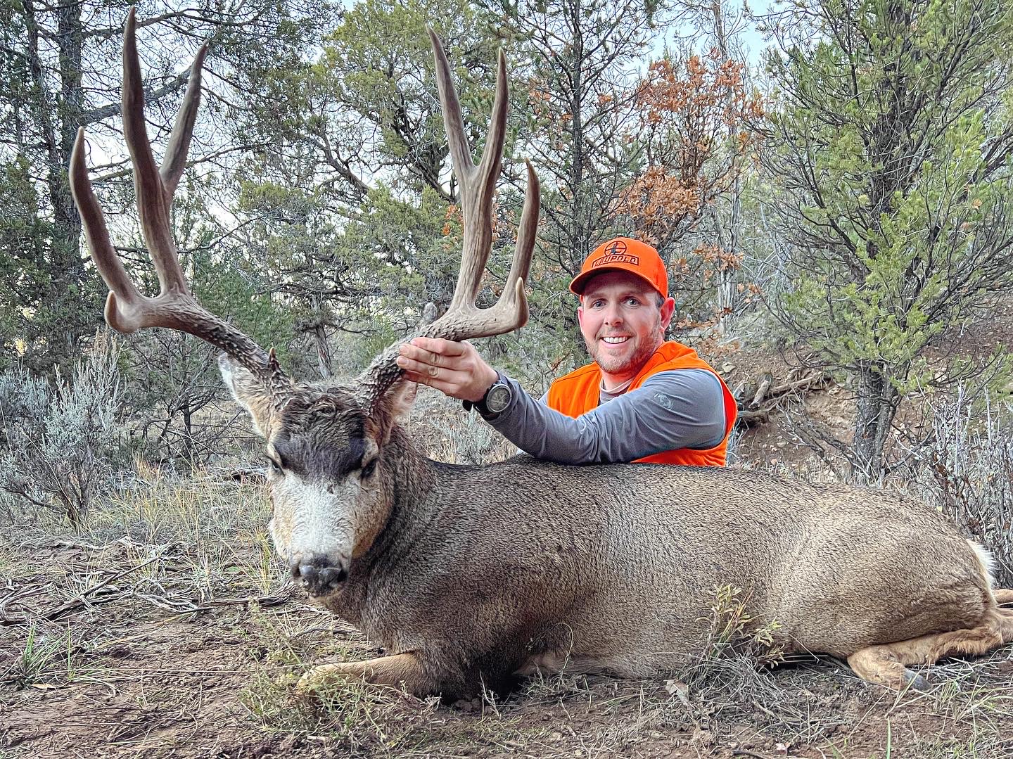 Mule Deer Hunting Tips: Expert Strategies for a Successful Hunt