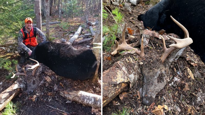 hunter with black bear and whitetail deadhead